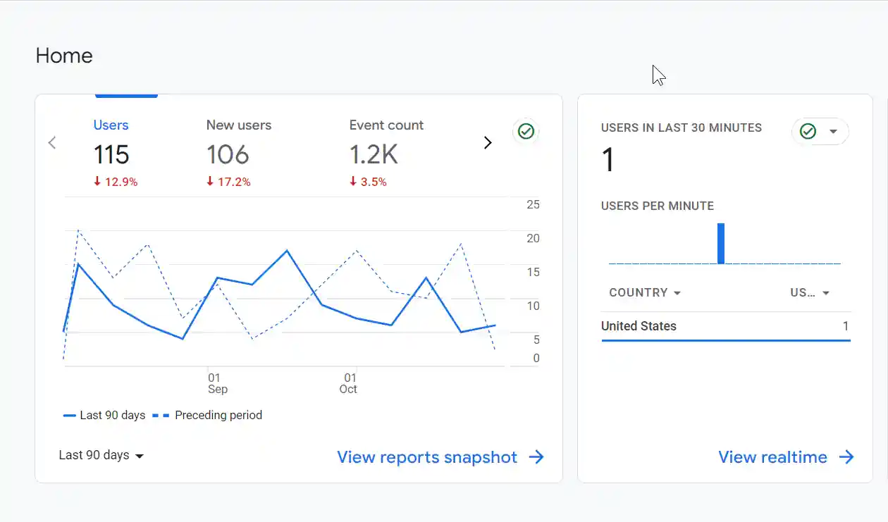 Google Analytics dashboard showing local website traffic data